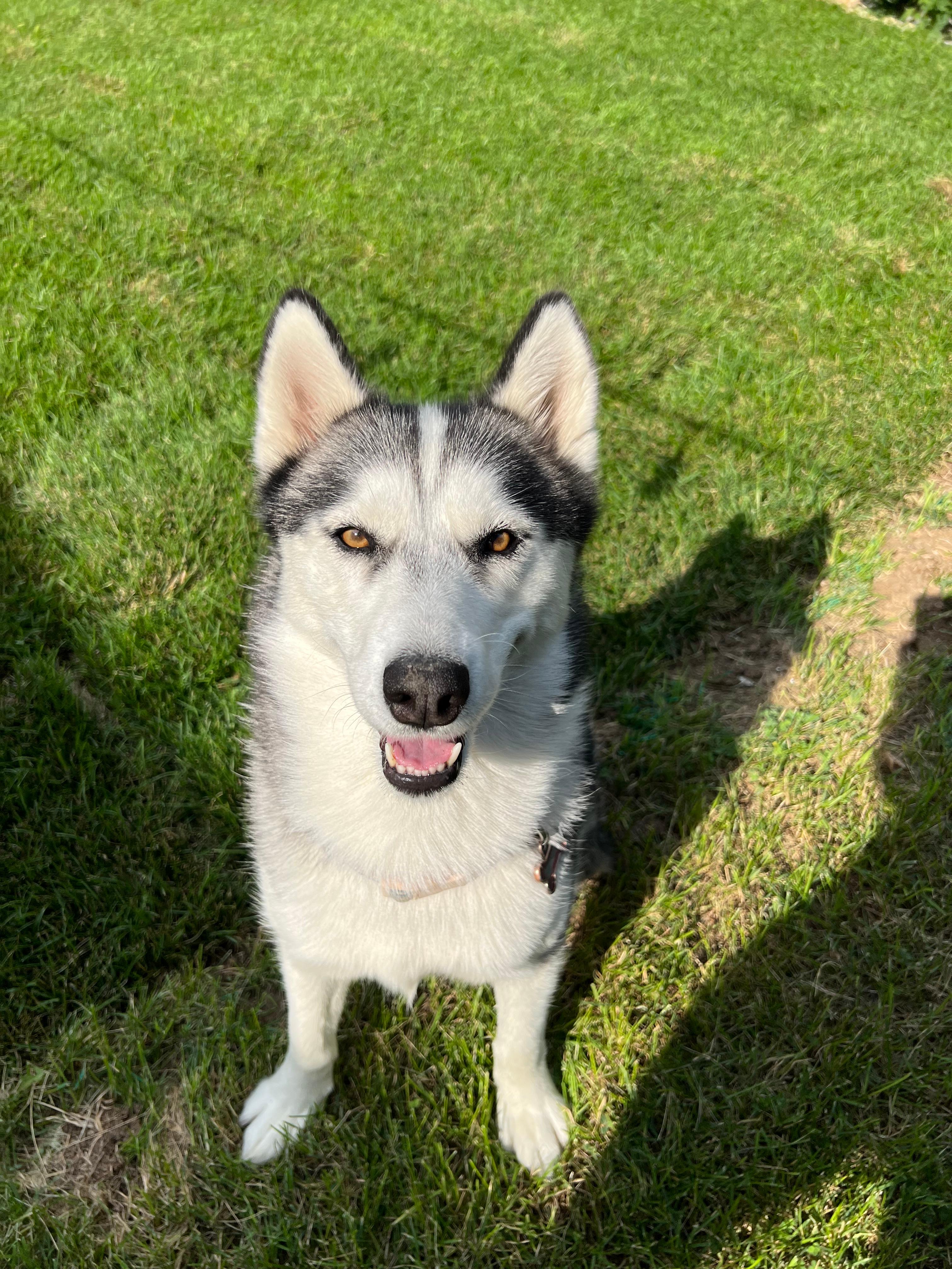 Luna