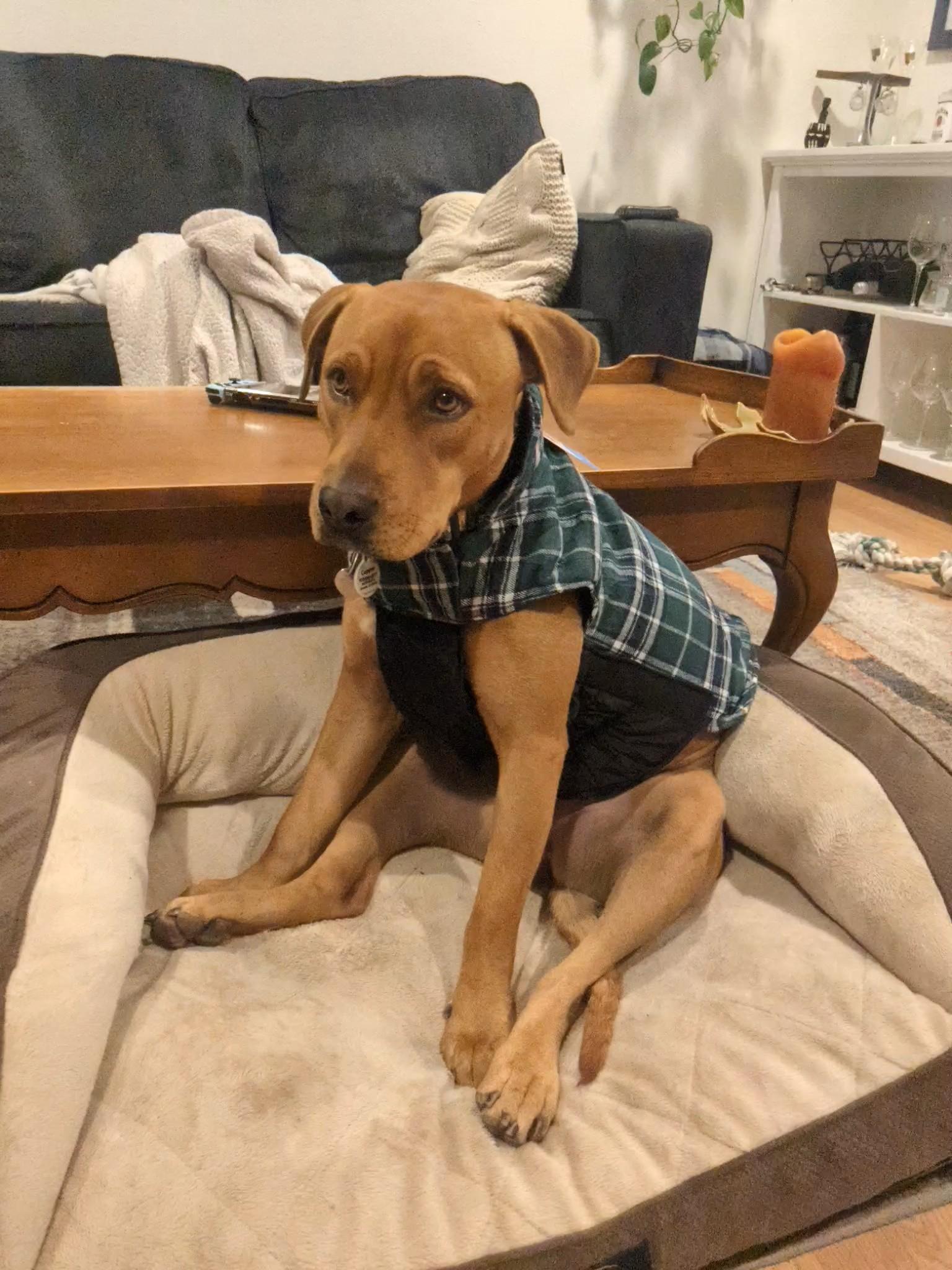 Copper